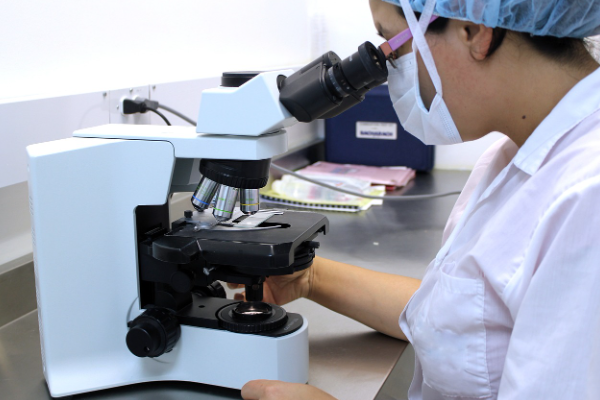 Dünya Sağlık Örgütü (DSÖ) Genel Direktörü Tedros Adhanom Ghebreyesus, 11