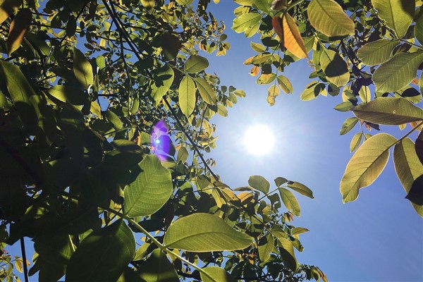 Hava sıcaklığı yurt genelinde mevsim normalleri üzerinde seyredecek