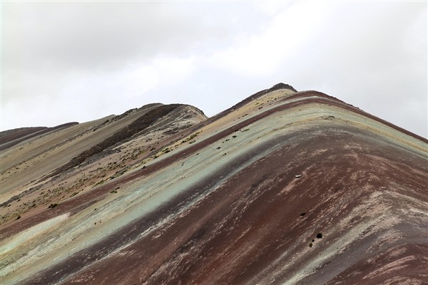 FATMA ELİF BEYHAN - 13.02.2024 - HİBYA - AK Parti