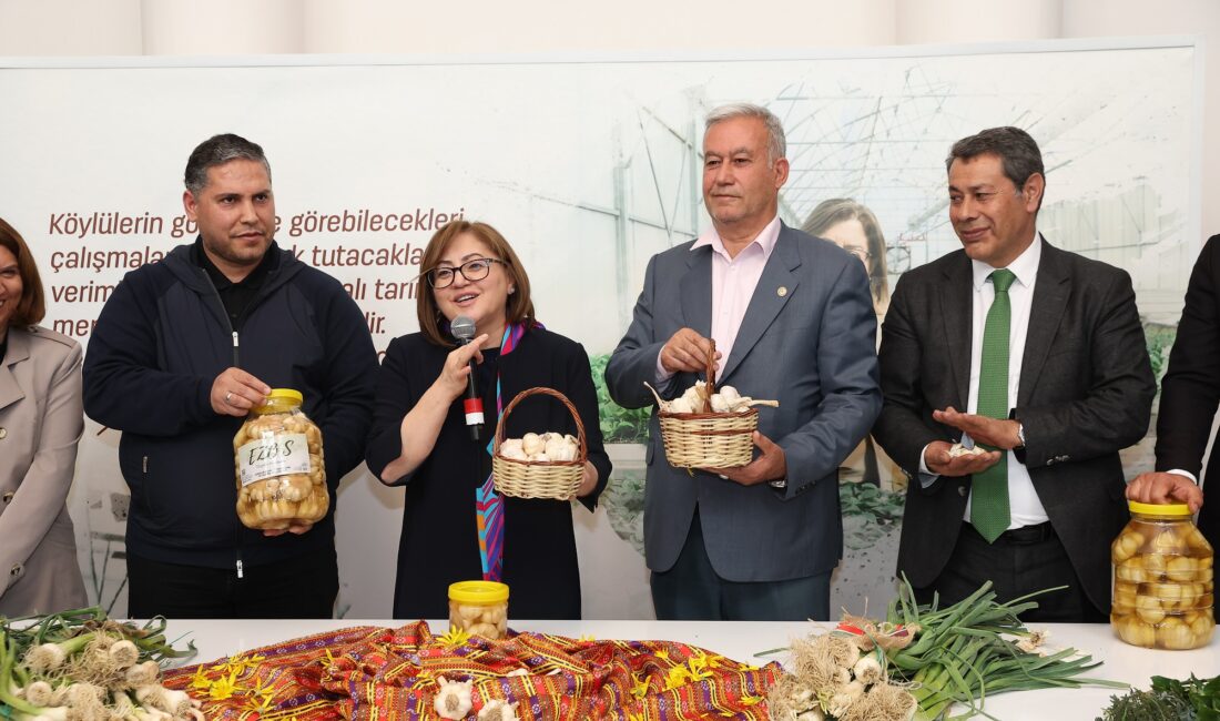 Gaziantep Büyükşehir Belediyesi (GBB) ve Araban Ziraat Odası iş birliğinde