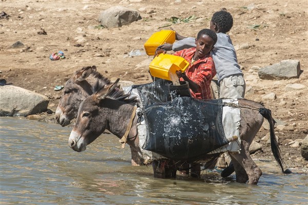 DSÖ: Sudan’da nüfusun üçte biri ciddi düzeyde gıda güvensizliğiyle karşı karşıya