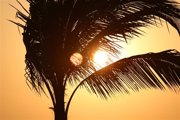 Hava sıcaklıklarının 10-16 Nisan tarihleri arasında ülke genelinde mevsim normalleri