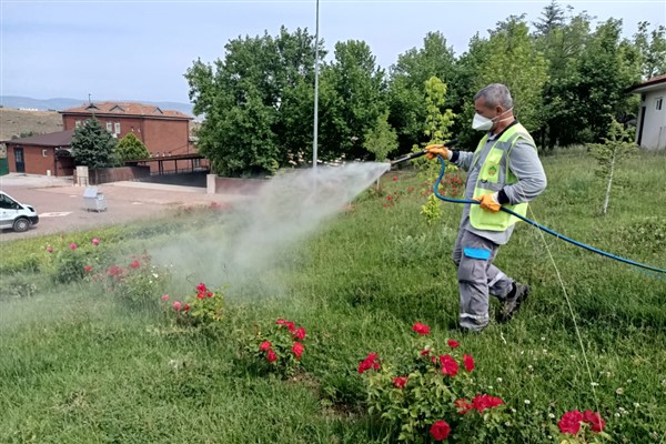 Malatya’da ilaçlama çalışmaları devam ediyor