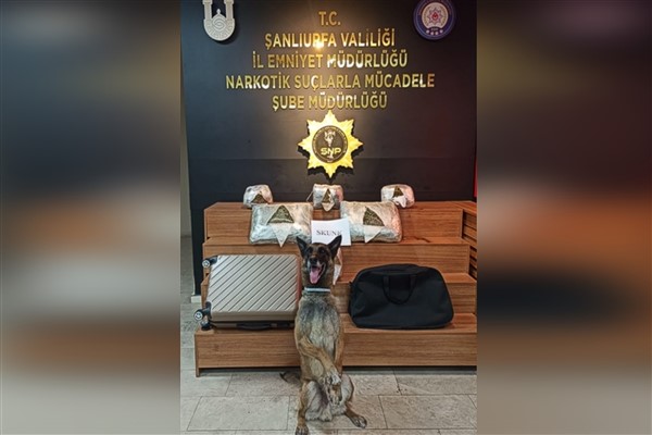 Şanlıurfa’da 10 kilo 600 gram skunk ele geçirildi