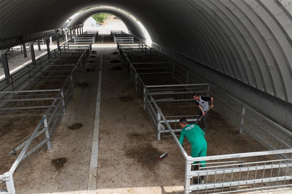 Balıkesir’de hayvan pazarı, kurbanlıklar için hazırlandı