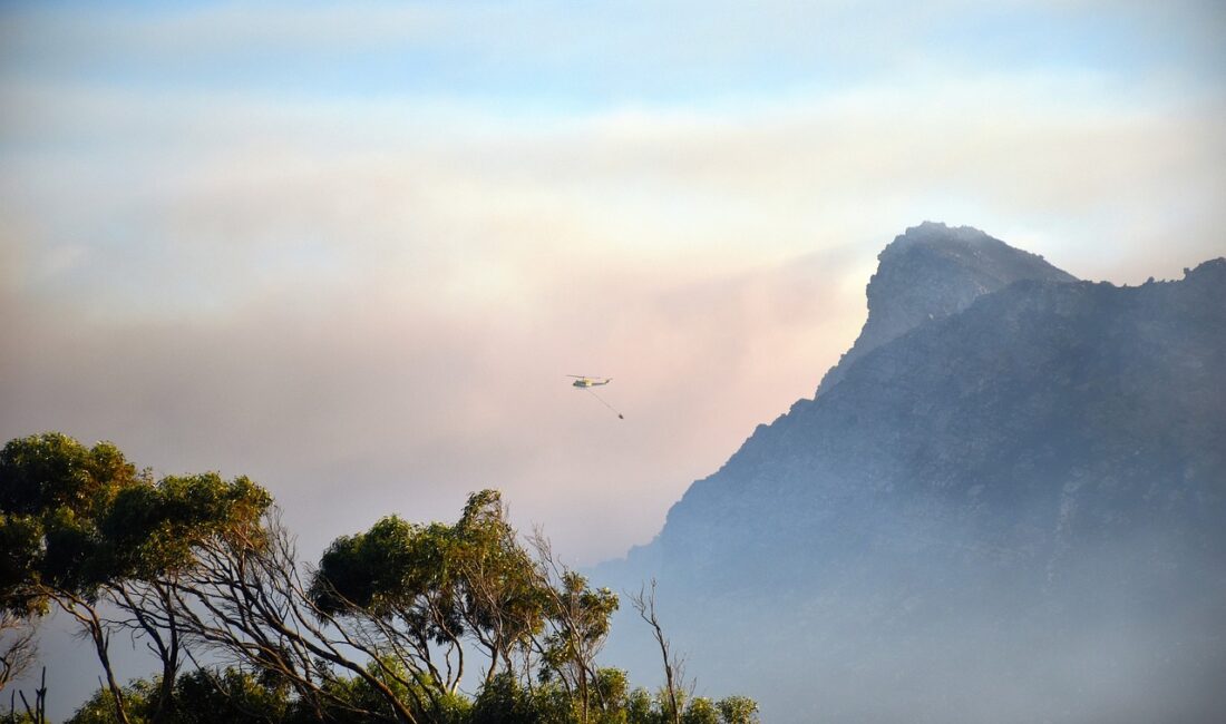Orman Genel Müdürlüğü (OGM), İzmir’in Bergama ilçesi ve Balıkesir’in Altıeylül