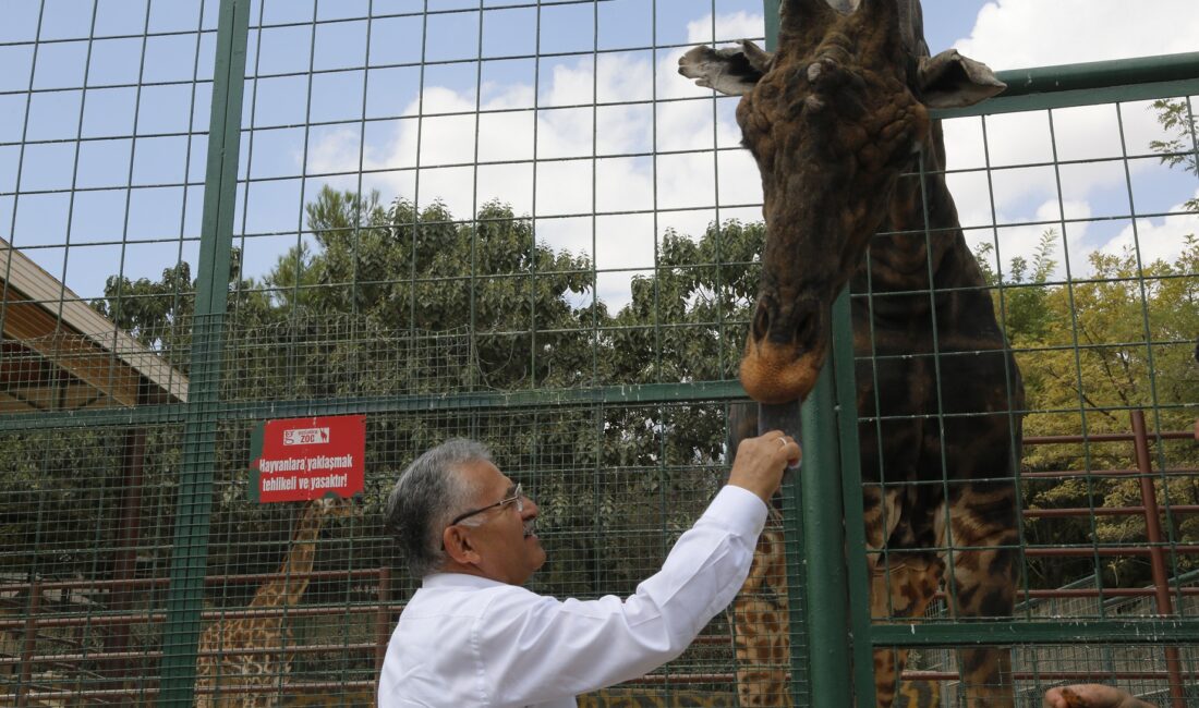 Kayseri Büyükşehir Belediye Başkanı Dr. Memduh Büyükkılıç, Anadolu Harikalar Diyarı'nda