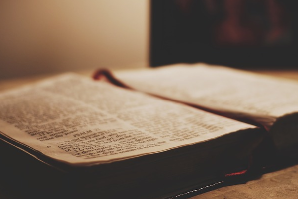 Çalışma ve Sosyal Güvenlik Bakanı Prof. Dr. Vedat Işıkhan, şair