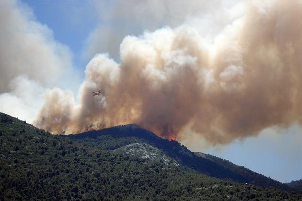 İzmir’in Dikili ilçesinde orman yangını