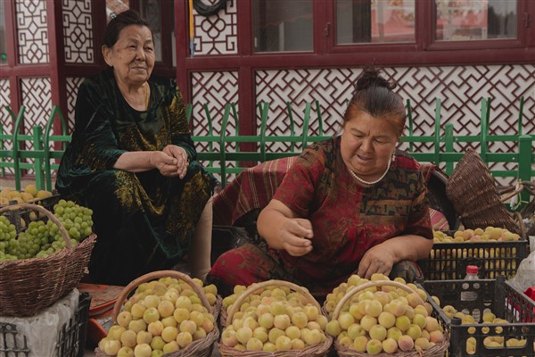 Xinjiang’ın meyve ihracatı yüzde 44,9 arttı