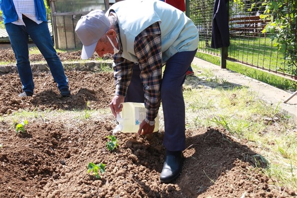 İstanbul Halk Bostanları projesi devam ediyor