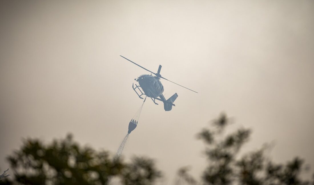 Orman Genel Müdürlüğü (OGM), İzmir'in Karşıyaka ve Beydağ ilçelerinde, Aydın'ın