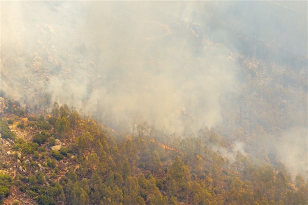 İzmir Büyükşehir Belediye Başkanı Dr. Cemil Tugay, Yamanlar yangını hakkında