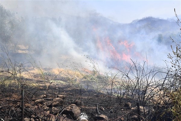 İzmir İtfaiyesi İzmir Orman Bölge Müdürlüğü ekipleri ile birlikte Karşıyaka