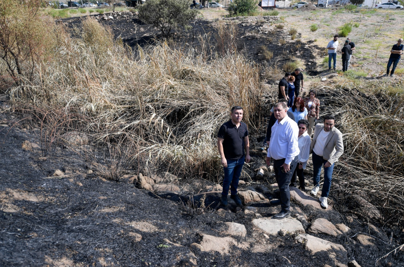 İzmir Büyükşehir Belediyesi, Yamanlar Dağı’nda yaşanan yangın sonrası zarar gören