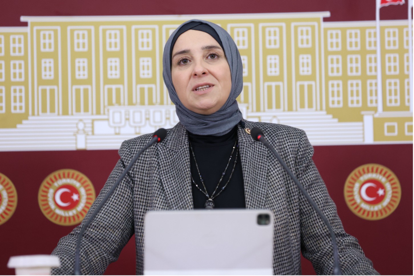 DEVA Partisi Genel Başkan Yardımcısı, İstanbul Milletvekili ve çocuk hakları