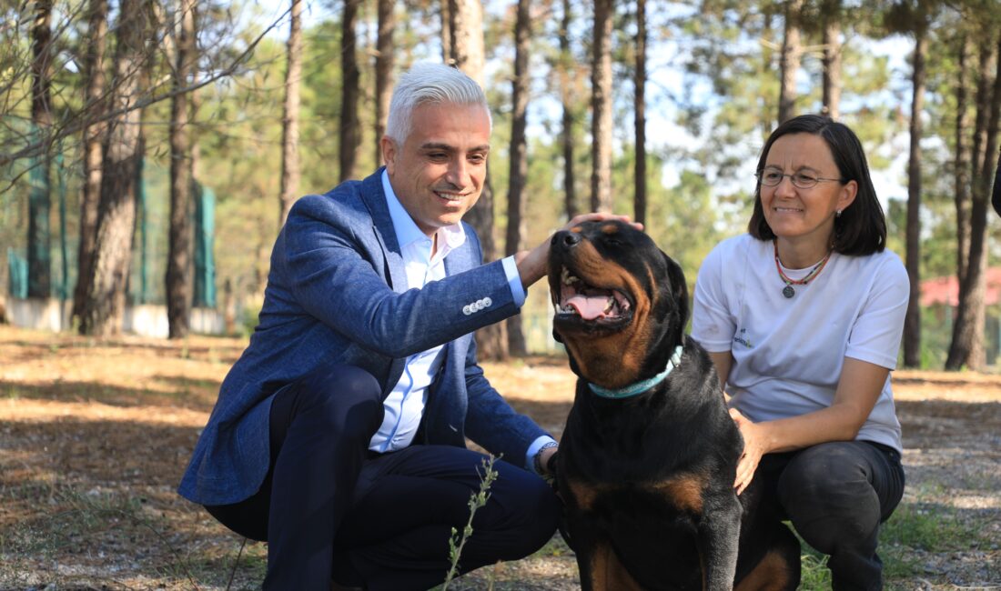 İstanbul Elektrik Tramvay ve Tünel (İETT) İşletmeleri Umum Müdürlüğü, İstanbul