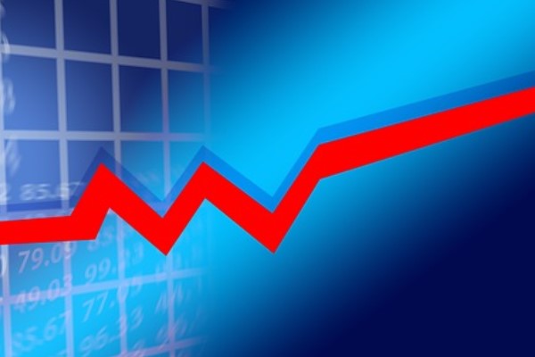 DMR Unlu Mamuller Üretim Gıda Toptan Perakende İhracat A.Ş, paylarından