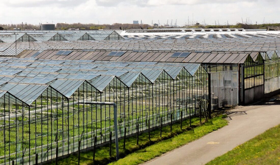 Agrotech Yüksek Teknoloji ve Yatırım A.Ş, Burhaniye'de arsa satın aldı.