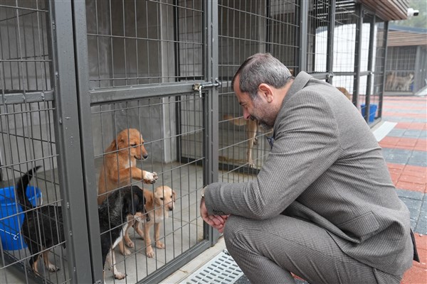 Gürsu Belediyesi’nin Ödüllü Rehabilitasyon