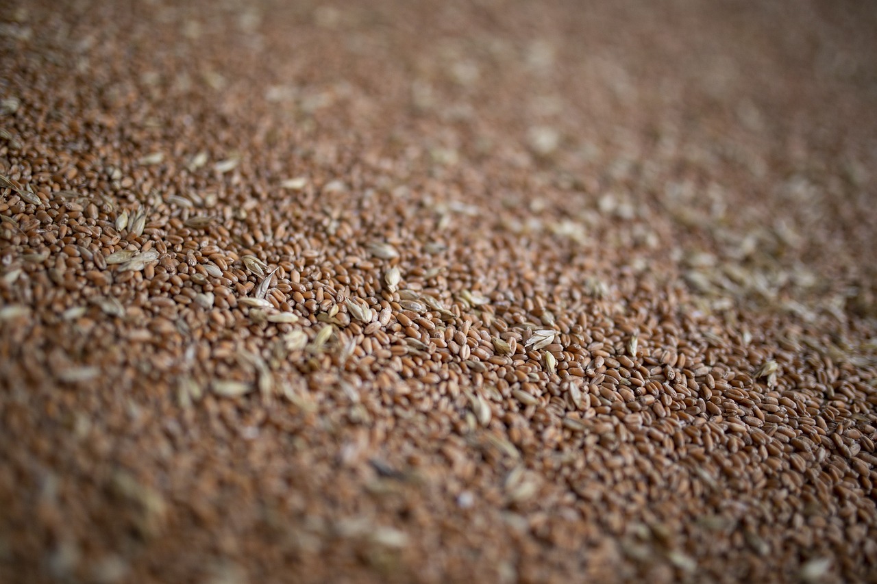 Oba Makarnacılık Sanayi ve Ticaret A.Ş, buğday satış anlaşması yaptı.