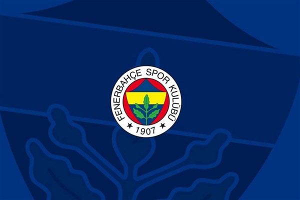 Fenerbahçe, UEFA Avrupa Ligi'nde