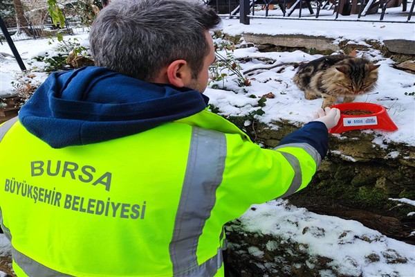 Bursa'da etkili olan kar