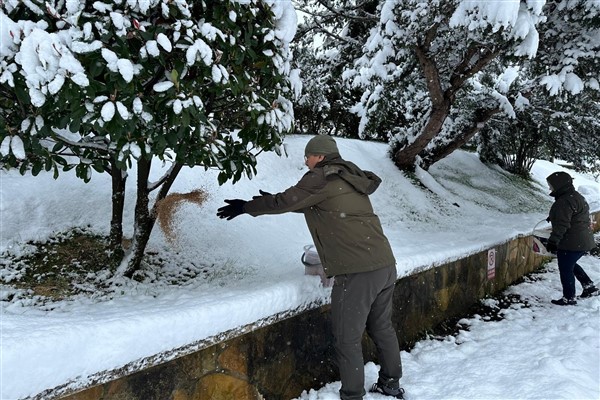 Giresun’da etkili olan kar