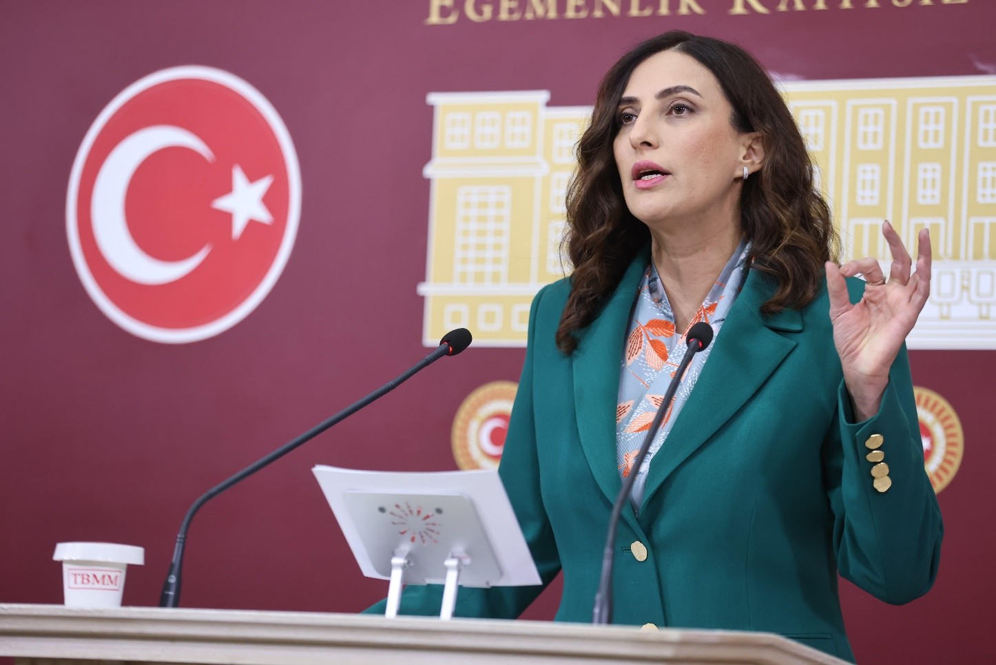 DEVA Partisi Genel Başkan Yardımcısı ve İstanbul Milletvekili Evrim Rızvanoğlu,