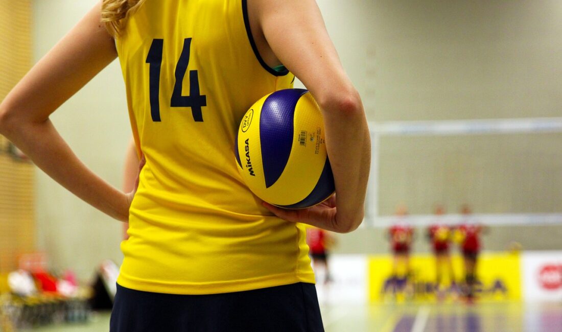 Türkiye Voleybol Federasyonu(TVF), TVF