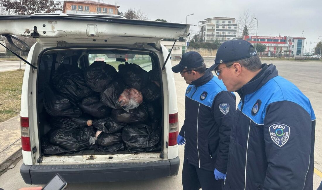 Ordu Büyükşehir Belediyesi Zabıta