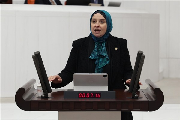 İstanbul Milletvekili Elif Esen, Türkiye Büyük Millet Meclisi Genel Kurulunda