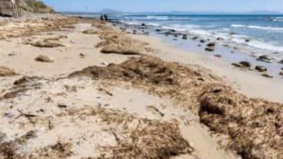 Madrid, 27 Temmuz  (Hibya) - Güneydoğu Asya'dan gelen binlerce