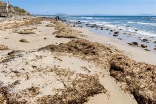 Madrid, 27 Temmuz  (Hibya) - Güneydoğu Asya'dan gelen binlerce
