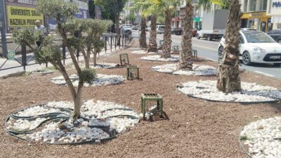 Manisa Büyükşehir Belediyesi’nden kurakçıl peyzaj uygulaması