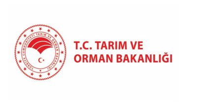 Tarım ve Orman Bakanlığı, Orman Genel Müdürlüğü’ne ait iki yangın