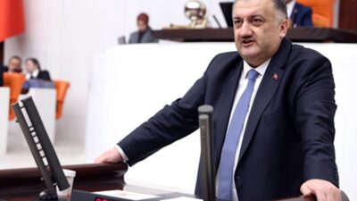 Demokrasi ve Atılım Partisi (DEVA Partisi) Genel Başkan Yardımcısı ve