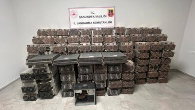 Şanlıurfa, 11 Aralık (Hibya)-Şanlıurfa İl Jandarma Komutanlığı, Hilvan ilçesinde kaçak