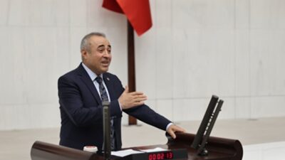 Demokrasi ve Atılım Partisi (DEVA Partisi)  Genel Başkan Yardımcısı