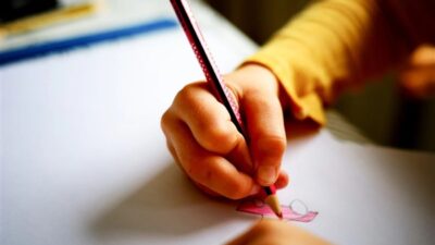 Aile ve Sosyal Hizmetler Bakanlığı tarafından Sosyal ve Ekonomik Destek