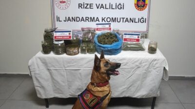 Rize, 11 Aralık (Hibya) - Rize'nin Güneysu ilçesinde düzenlenen uyuşturucu