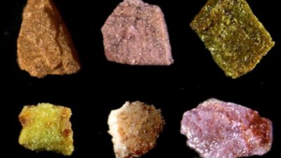 Stockholm, 12 Aralık (Hibya) - Politıco'nın haerine göre, Trump yönetimi,