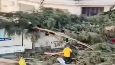 Lizbon, 11 Şubat (Hibya) - Portekiz İçişleri Bakanı Maria Lucia