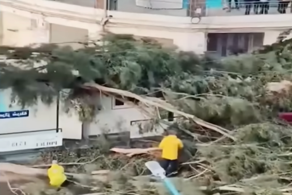 Lizbon, 11 Şubat (Hibya) - Portekiz İçişleri Bakanı Maria Lucia