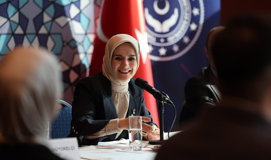 Aile ve Sosyal Hizmetler Bakanı Mahinur Özdemir Göktaş, TBMM Kadın