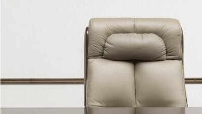 Türkiye Cumhuriyeti Dışişleri Bakan Yardımcısı Ali Özel, Fransa'nın Ankara Büyükelçisi