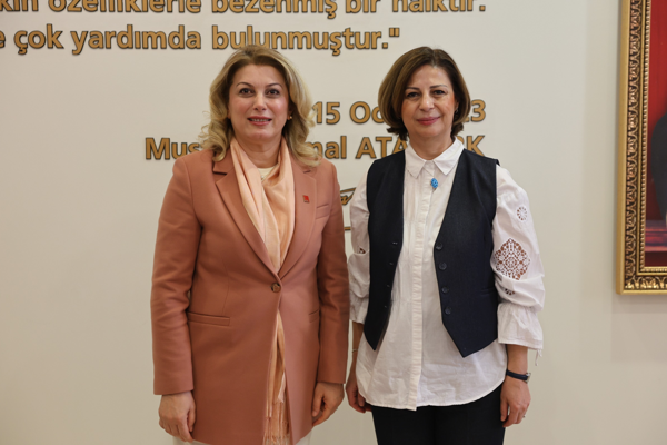 Cumhuriyet Halk Partisi (CHP) Kadın Kolları Genel Başkanı Asu Kaya,