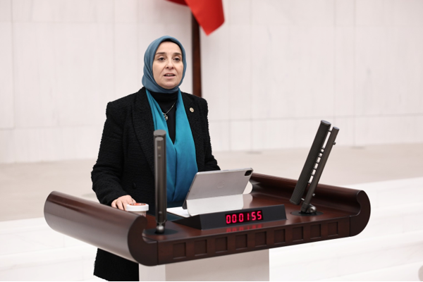 DEVA Partisi Genel Başkan Yardımcısı ve İstanbul Milletvekili Elif Esen,