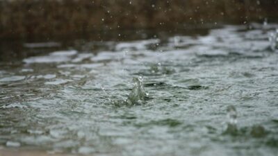 Meteoroloji Genel Müdürlüğü, kuvvetli yağış, rüzgâr, çığ tehlikesi ve toz