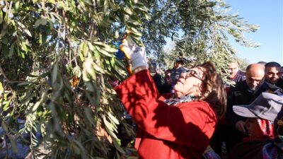 Gaziantep Büyükşehir Belediyesi, Nizip ilçesinde bitkisel ve hayvansal üretimi desteklemeye